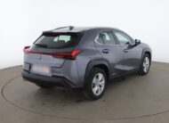 Lexus UX-Serie